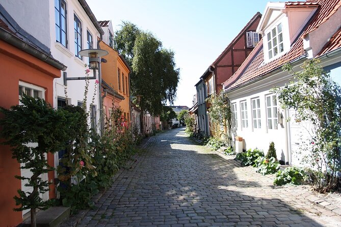 Aarhus Walking Tour: Explore Top Sights & Hidden Gems - Price, group size, and the value of two hours