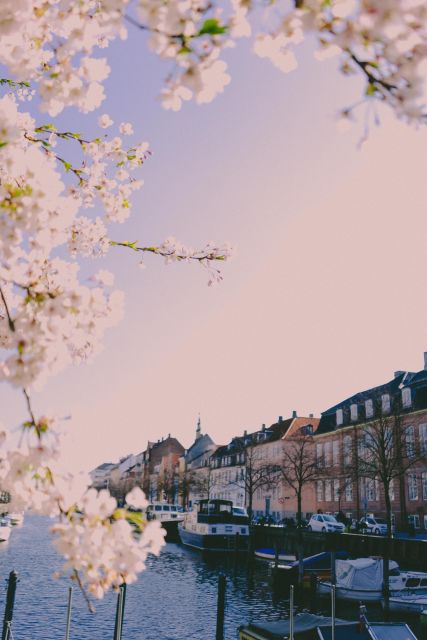 Best of Copenhagen Biking Tour-3 Hours, Small Group max 10 - Booking details that matter