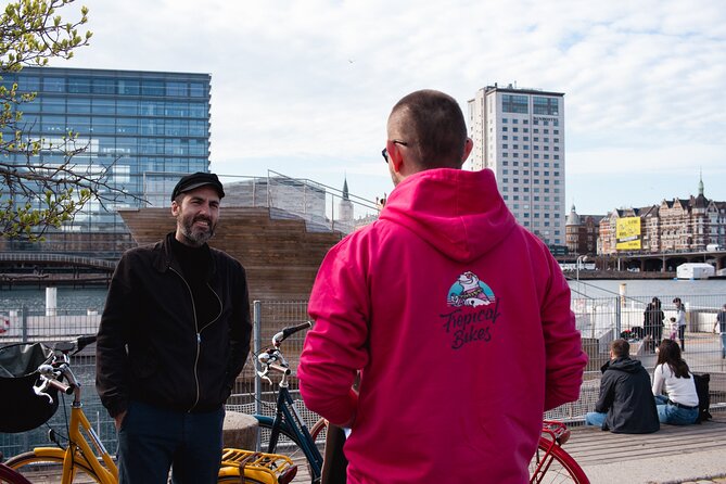 Copenhagen Architecture and Sustainability Tour with local Guide - DR Koncerthuset and the open ground of Amager Fælled
