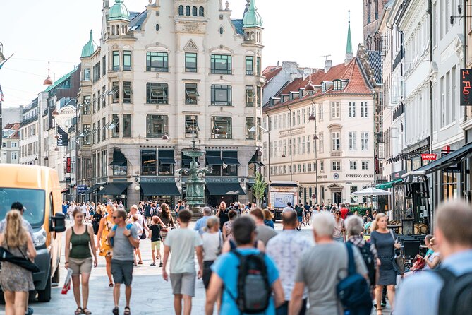 Copenhagen & Christiansborg Palace Private Walking Tour - The Round Tower and Copenhagen’s Scientific Past