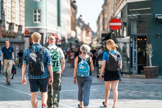 Copenhagen City Private Walking Tour - Amalienborg and the living Danish monarchy