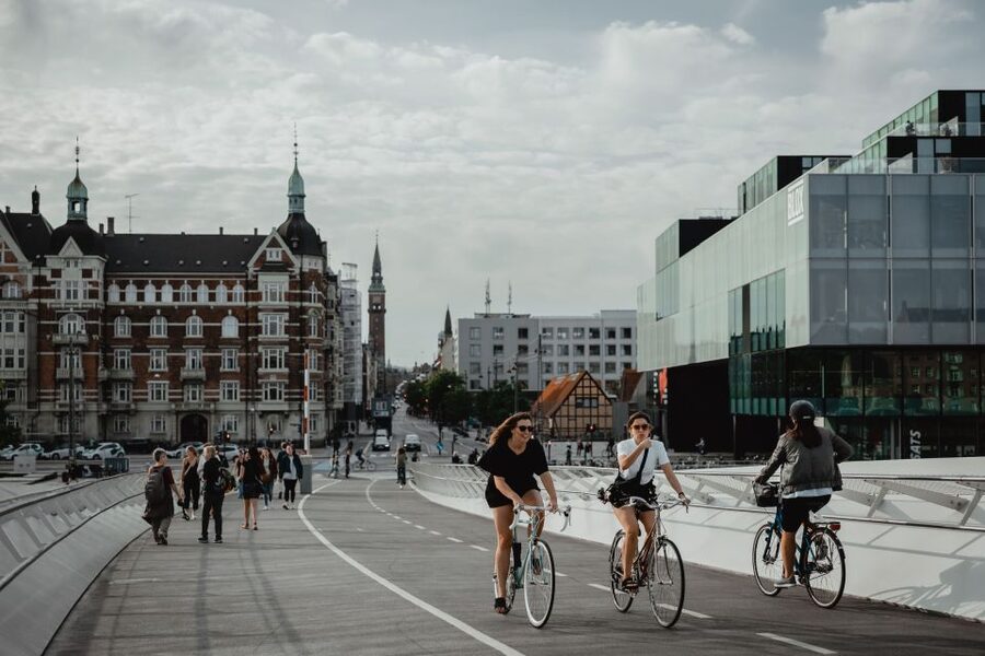 Copenhagen: Harbor Architecture Private Walking Tour - Who should book this walk