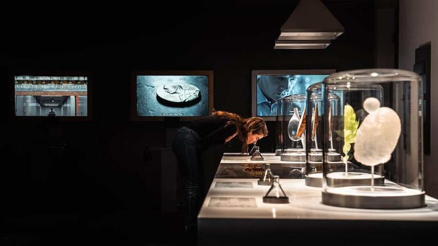 Copenhagen: Home of Carlsberg Experience Entry Ticket - Finish with a beer, the stable, or the Sculpture Garden