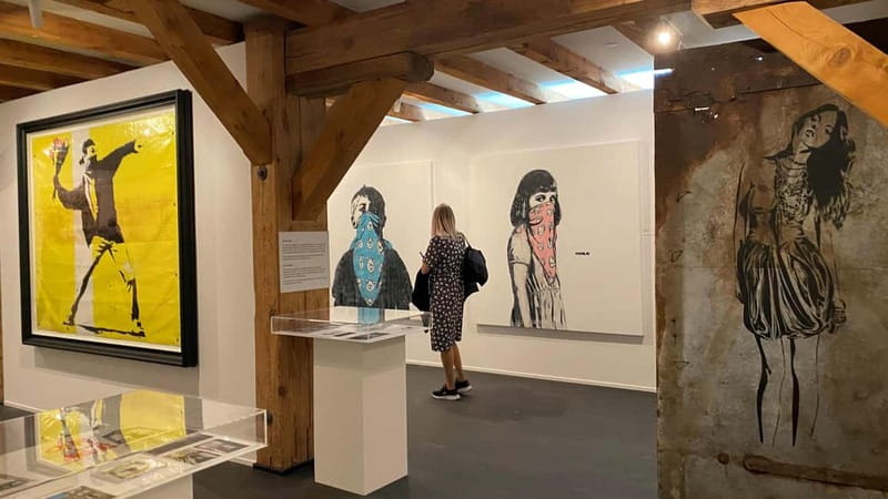 Copenhagen: MACA Art Museum Entry Ticket - Key Points at a Glance