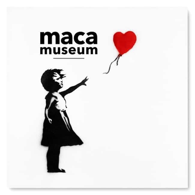 Copenhagen: MACA Art Museum Entry Ticket - What Your Museum Visit Looks Like