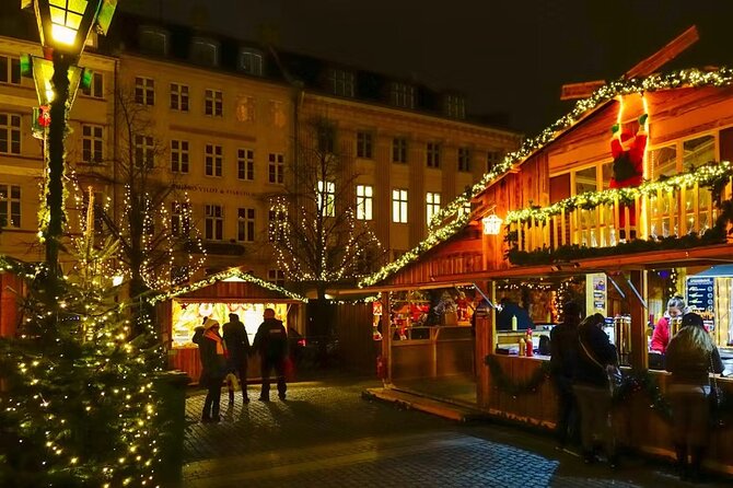 Copenhagen Private Christmas Walking Tour with Gløgg - Who should book this experience?