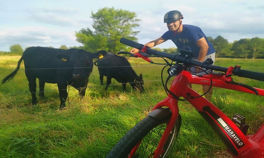 Copenhagen: Private Forgotten Giants E-Bike Treasure Hunt - Høje-Taastrup is the longest part of the hunt