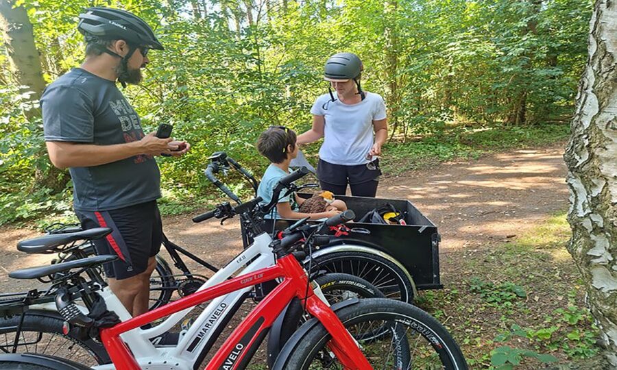 Copenhagen: Private Forgotten Giants E-Bike Treasure Hunt - Albertslund and the return ride