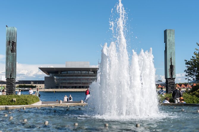 Copenhagen Private Full Day Tour with Lunch Option - What the private format adds