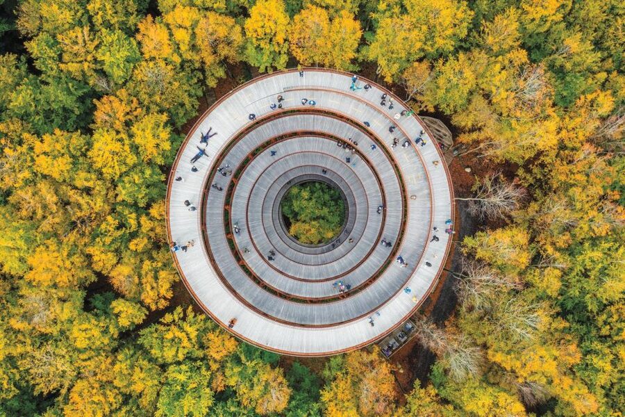 Copenhagen: The Forest Tower & Forgotten Giants Trolls Trip - Meeting Hill Top Trine