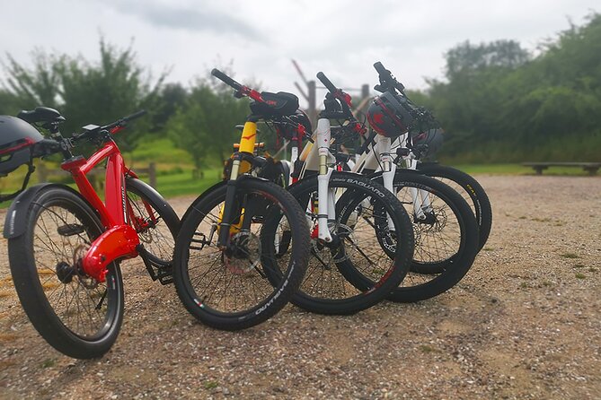 E-biking Central Forgotten Giants' s Adventure - E-bikes, gears, hills, and rough paths