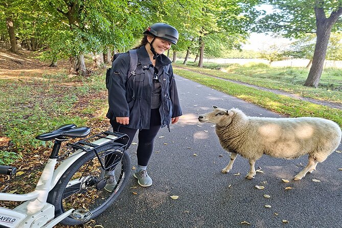 E-biking Northern Forgotten Giants' s Adventure - Sleeping Louis and the first sense of the hunt