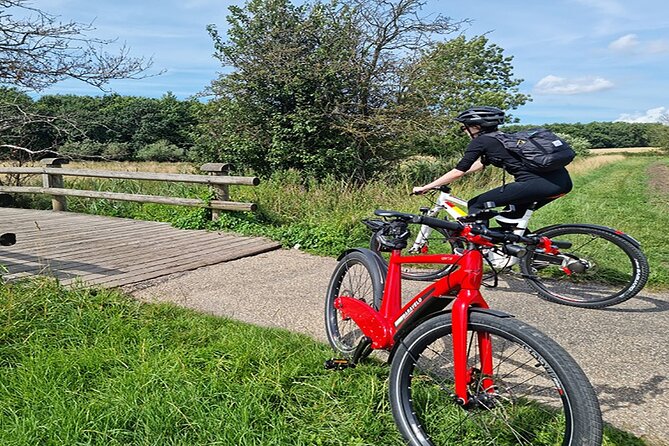 E-biking Northern Forgotten Giants' s Adventure - Teddy Friendly and the final giant