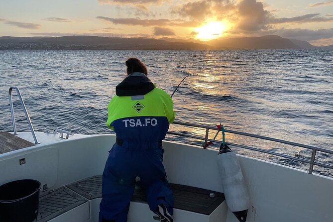 Fishing Experience in Faroe Islands - Nólsoy’s birds and sea life