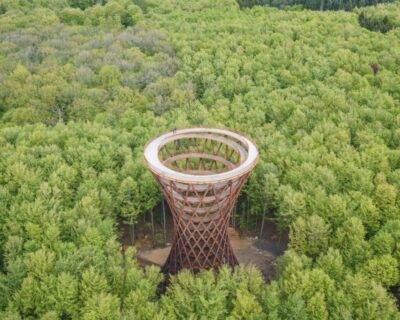 Round-Trip to Møns Klint and Forest Tower