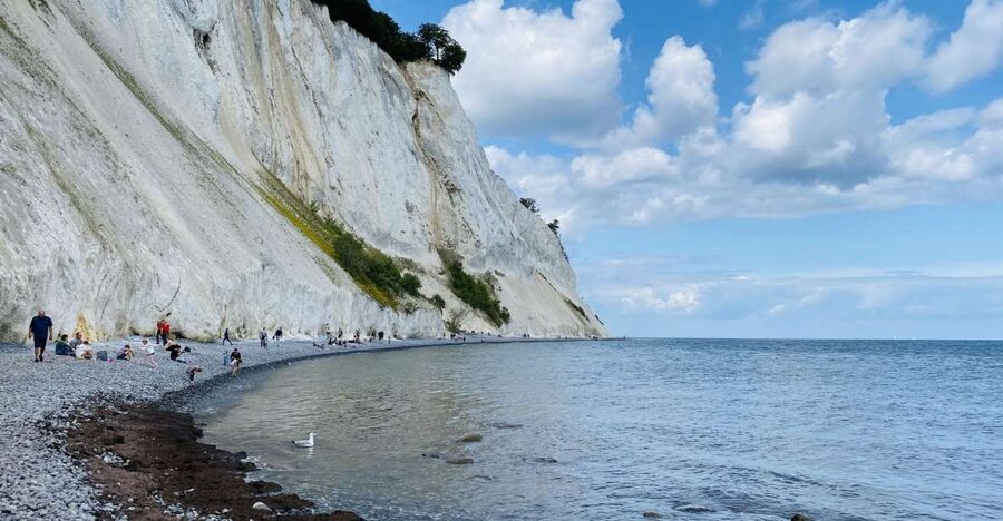 From Copenhagen: Round-Trip to Møns Klint and Forest Tower - Walking Møns Klint From the Cliff Edge to the Beach