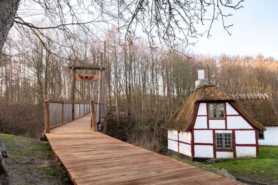 From Copenhagen: Round-Trip to Møns Klint and Forest Tower - Practical Advice Before You Go