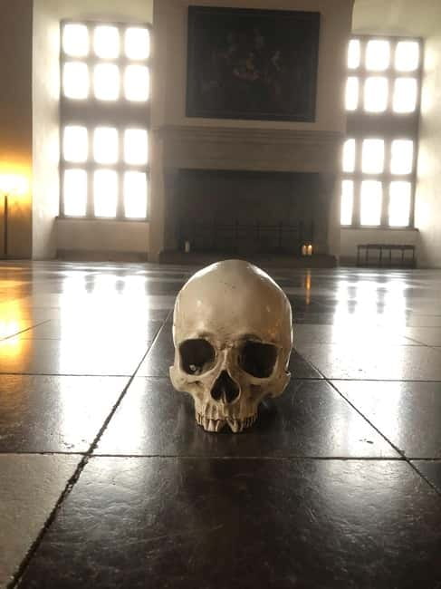 Full-Day Tour; Castle, Palace, Cathedral and Viking Ships - Kronborg Castle, Hamlet’s fortress by the water