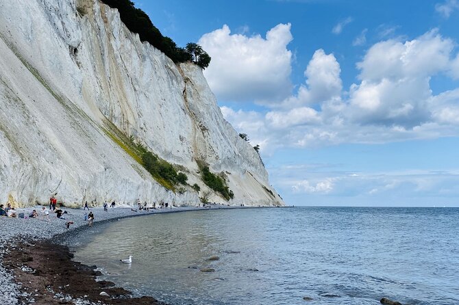 Møns klint and The Forest tower - A day tour from Copenhagen - Key points to know before you book