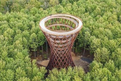 Møns klint and The Forest tower – A day tour from Copenhagen