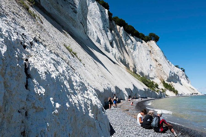 Møns klint and The Forest tower - A day tour from Copenhagen - Price, comfort, and what you actually receive