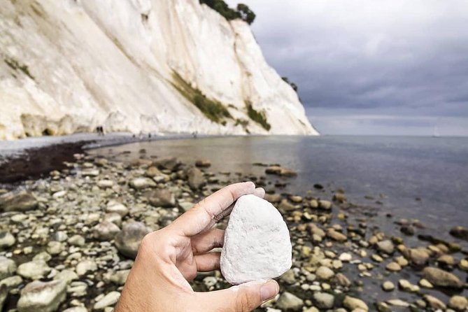 Møns klint and The Forest tower - A day tour from Copenhagen - Who should book this outing