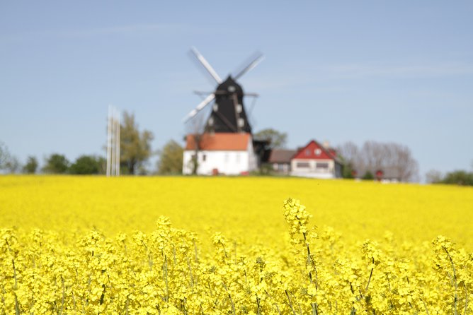 Private tour Copenhagen to Lund & Malmö City daytrip - Is $1,450 a fair price?