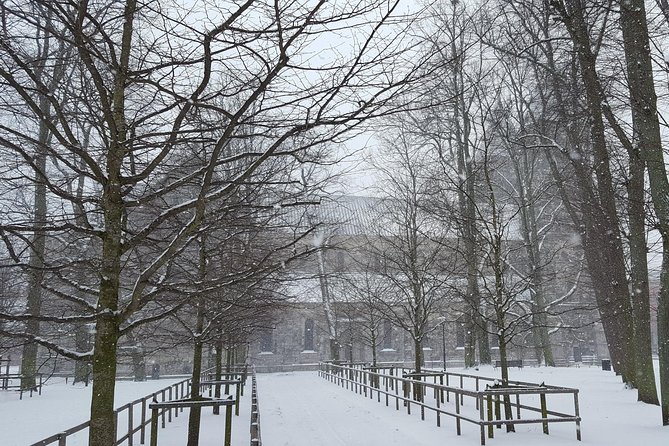Private tour Copenhagen to Lund & Malmö City daytrip - Who will enjoy this southern Sweden day trip?