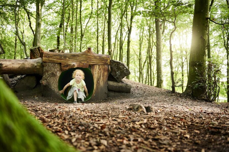 Skjern: WOW PARK Entry Ticket - Tarzan swings and high bridges for older children