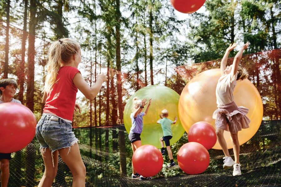 Skjern: WOW PARK Entry Ticket - Ziplines, bridges, and the main forest thrills