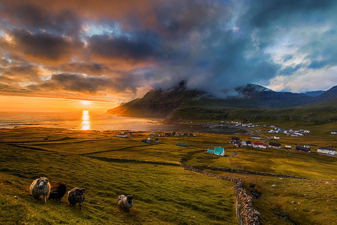 Súðuroy Island Day Tour, Faroe Islands - Lunch and local history in Tvøroyri