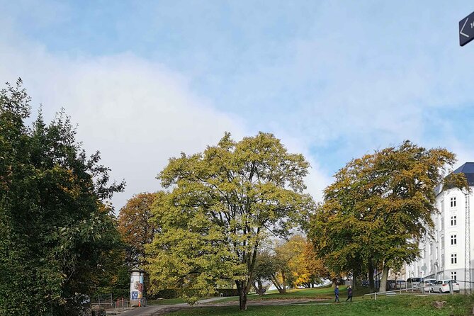 The Ancient Viking Stronghold of Aros: A Self-Guided Audio Tour in Aarhus - Millers Street and its colorful houses